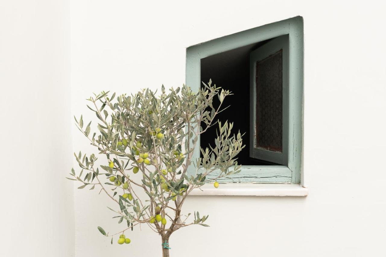אתונה Central5 Boutique Apartments With Common Garden Next To Metro מראה חיצוני תמונה
